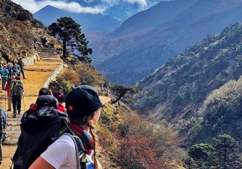 Gallery tour Moc Chau 2020