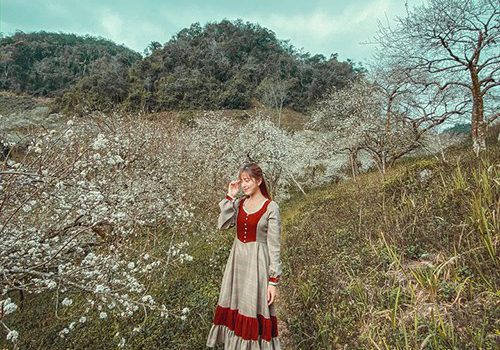 Gallery tour Sapa 2020